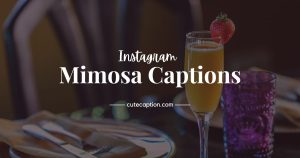 Mimosa captions for Instagram