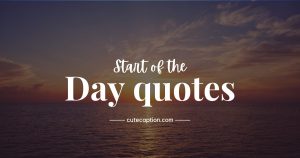 Start Of The Day Quotes