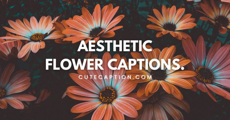 Aesthetic Flower Captions For Instagram