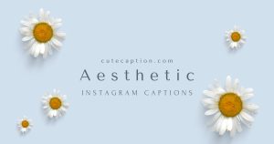 Aesthetic-Insta-Captions