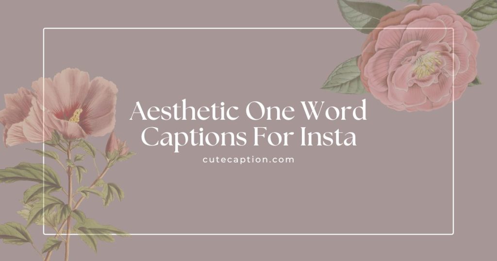 290+ Aesthetic One-Word Instagram Captions (A to Z words) - Cute Caption