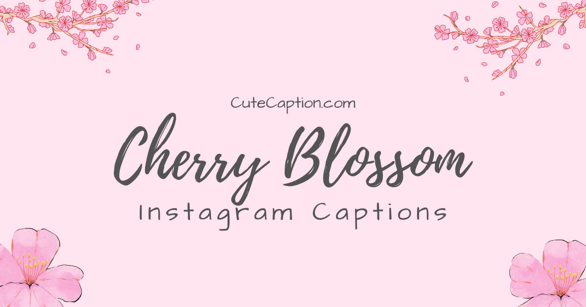 Cherry-Blossom-Captions-For-Instagram