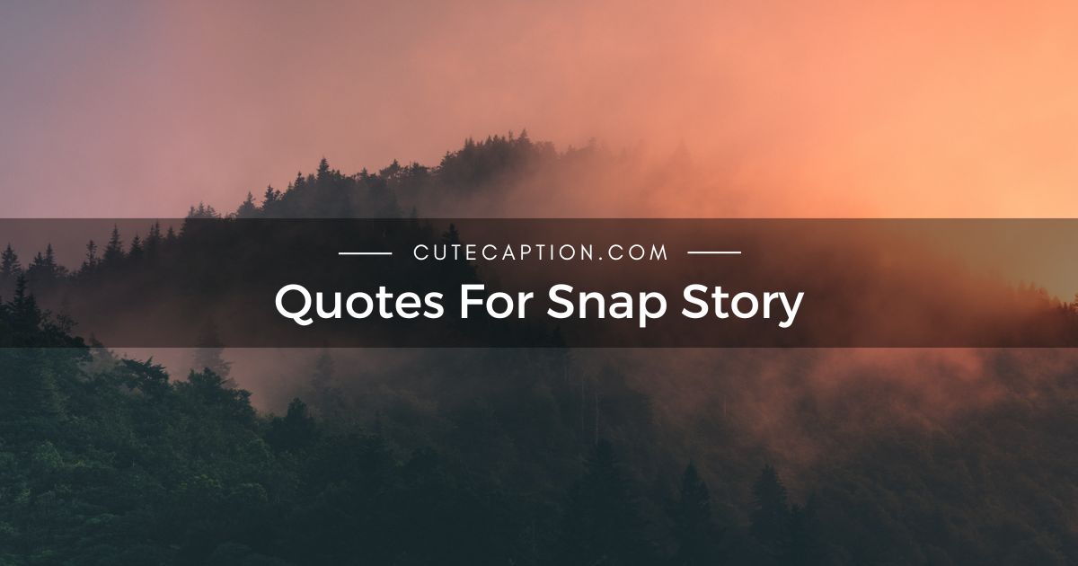 Quotes For Snap Story