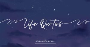 Meaningful Quotes About Life