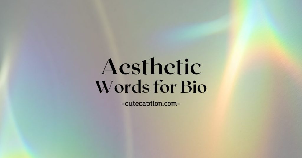 70+ Aesthetic Words for Bio Instagram - Cute Caption