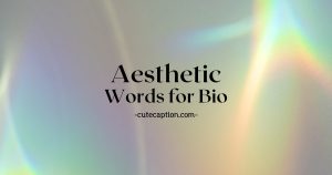 Aesthetic Words for Bio Instagram