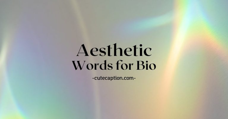 Aesthetic Words for Bio Instagram