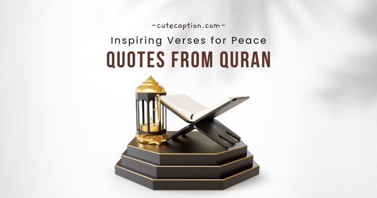 Quotes from Quran