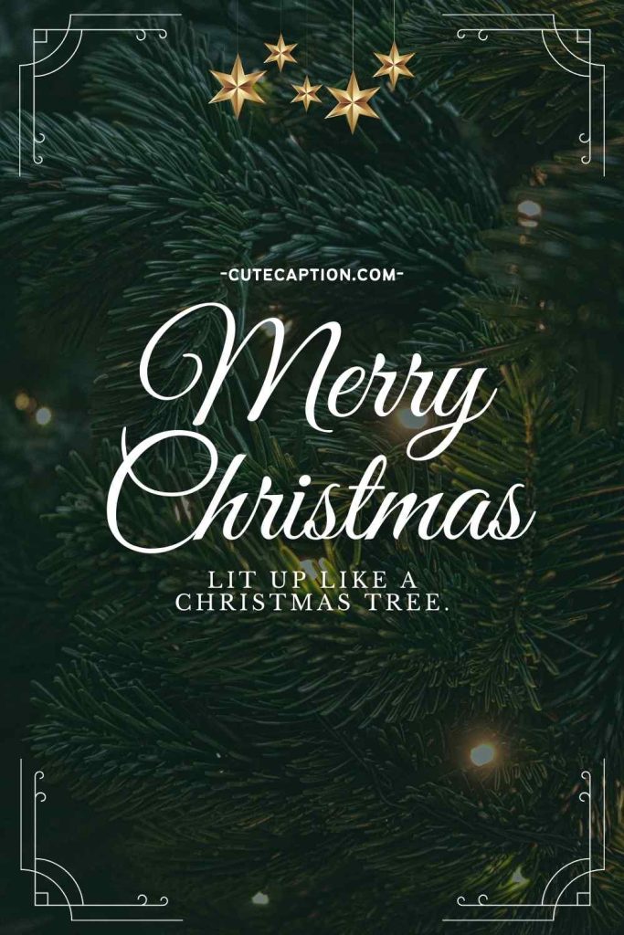 Christmas Tree Instagram Captions