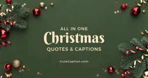 Christmas Quotes and Captions