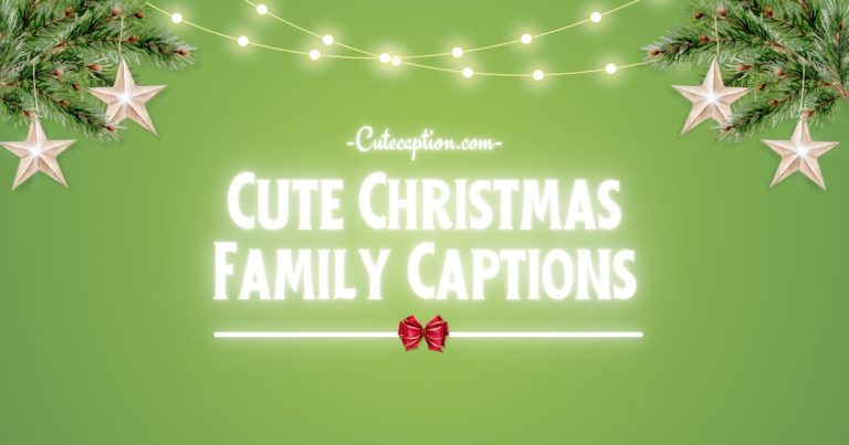 Family Christmas Captions