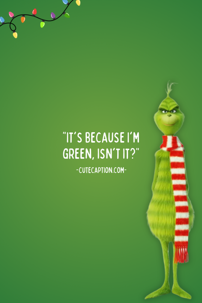 Famous Grinch Quotes