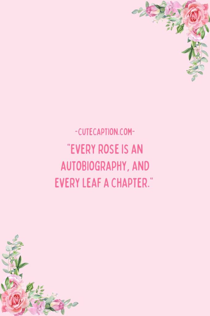 Quotes For Rose Day