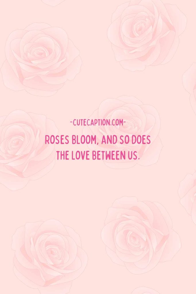 Love Quotes for rose Day