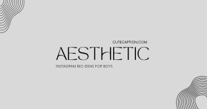 Aesthetic Instagram Bio Ideas for Boys [2024]